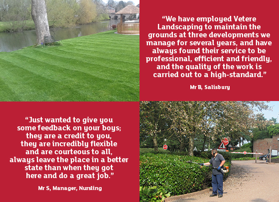 residential lawncare